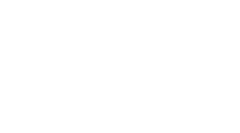 Mora Micro Logo